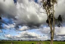 朝鲜深夜大阅兵：士兵嘶吼震天响，展现强大军事实力