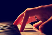 猫儿睡热蹬被：揭秘小猫的温暖小秘密