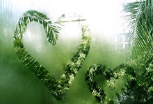 猫儿睡热蹬被：揭秘小猫的温暖小秘密