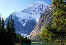 米花筒私人定制：打造专属您的美食之旅