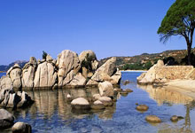 朝鲜深夜大阅兵：士兵嘶吼震天响，展现强大军事实力